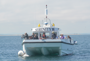 Serenity motor vessel at Farne Islands