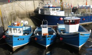 Seahouses Virtual Tour