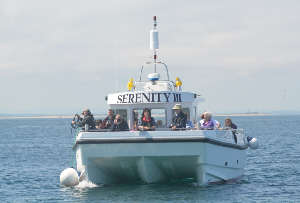 Serenity Farne Island Boat Tours To Seahouses